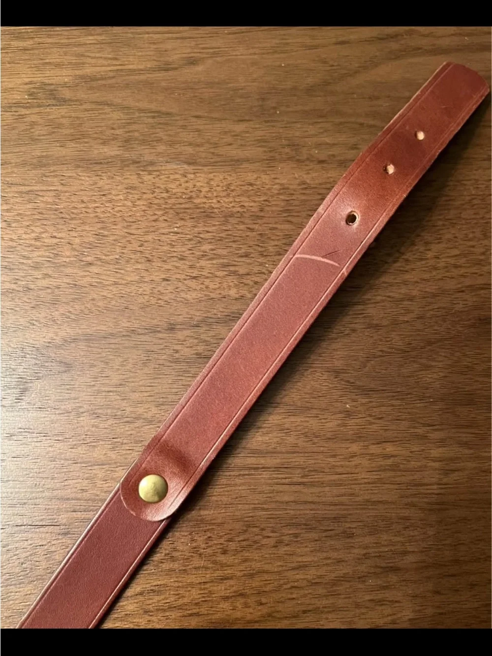 Leather & Brass Collar